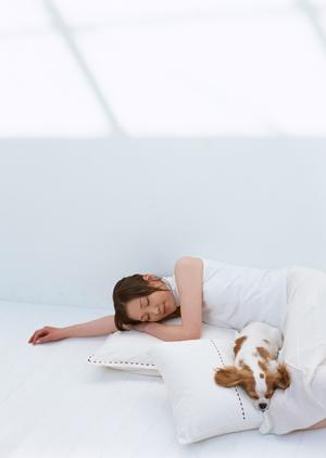 自然と温かさに包まれるログハウス型の動物病院｜新潟県新潟市西蒲区のいわむろ病院の特徴と魅力